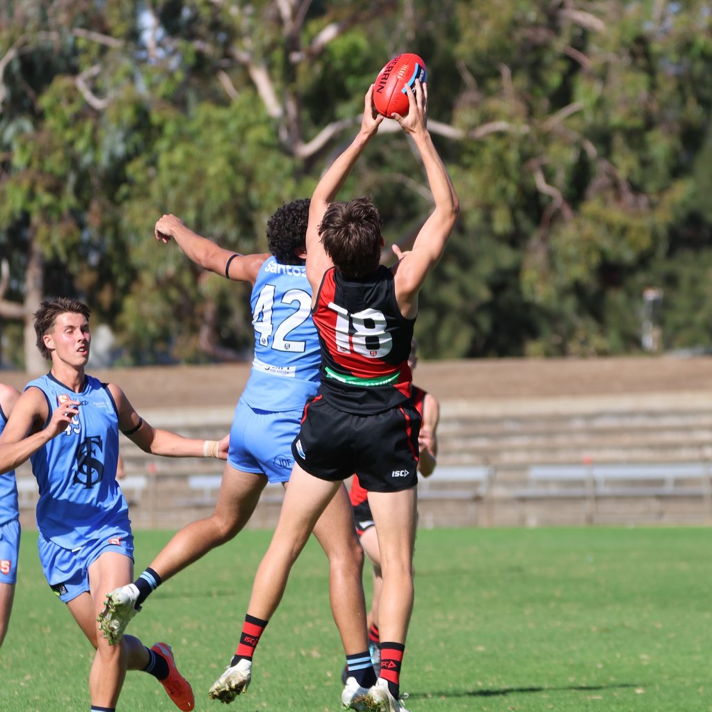 An AFL player leaping to mark the ball in front of a packed grandstand